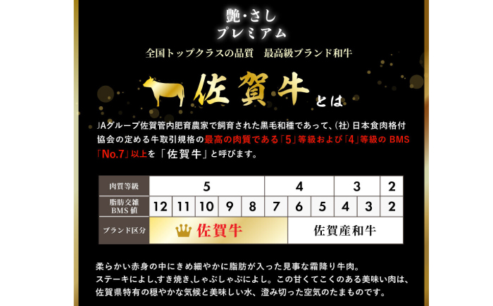 佐賀牛ヒレステーキ 3枚（計500g） / 佐賀県 / 佐嘉ZEYTAKUYA（やま田商店） [41AQAA023]