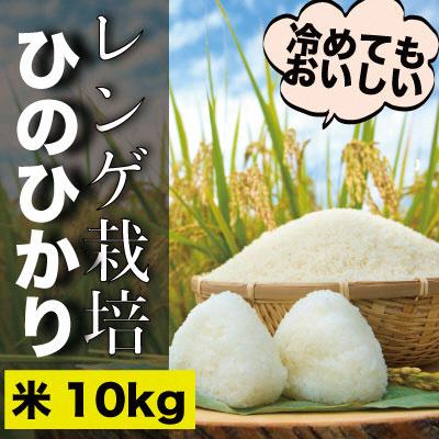 ふるさと納税 瀬戸内市 瀬戸内市のおいしい お米 「ひのひかり」10kg(5kg×2袋)石黒農園[No.5735-1647]