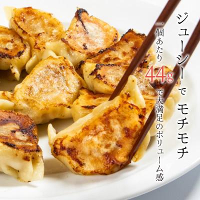 ふるさと納税 富良野市 【皮から餡まで富良野産】 手包みふらの餃子 内容量704g 8個入×2パック |  | 03