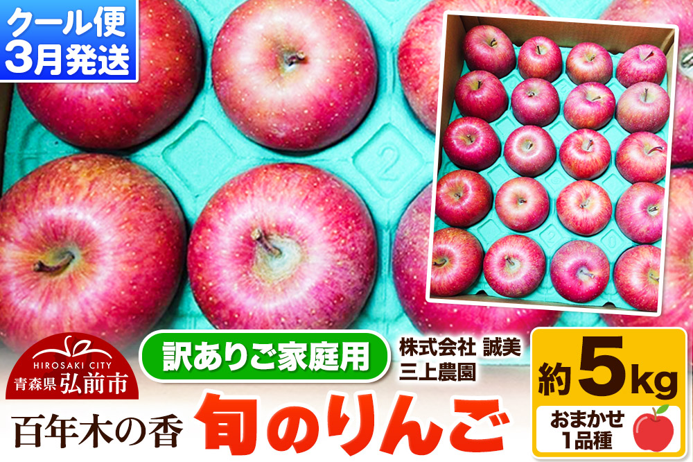 【26年3月クール便発送】りんご 旬のりんご 約5kg 品種おまかせ1品種【訳あり】家庭用 百年木の香 三上農園