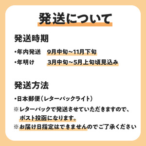 【W051-007u】【先行受付】沖永良部島の甘くて美味しい無添加ドライフルーツ（パパイヤ）30ｇ×３袋