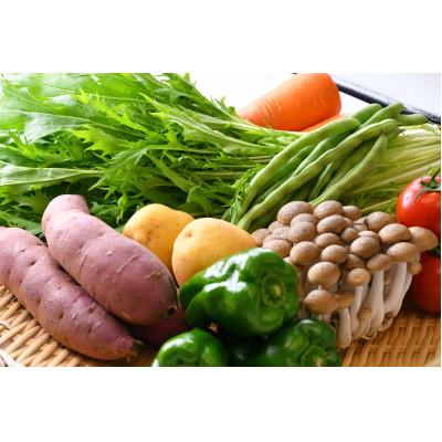 ふるさと納税 行方市 令和8年産　早場米「一番星」4kg(精米)&季節の野菜(8〜10種)セット |  | 01