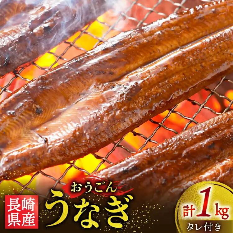 うなぎ 国産 蒲焼 長崎県産 おうごんうなぎ 松 セット 約1kg 4尾～8尾 [松永水産 長崎県 平戸市 hr42bgy400223]