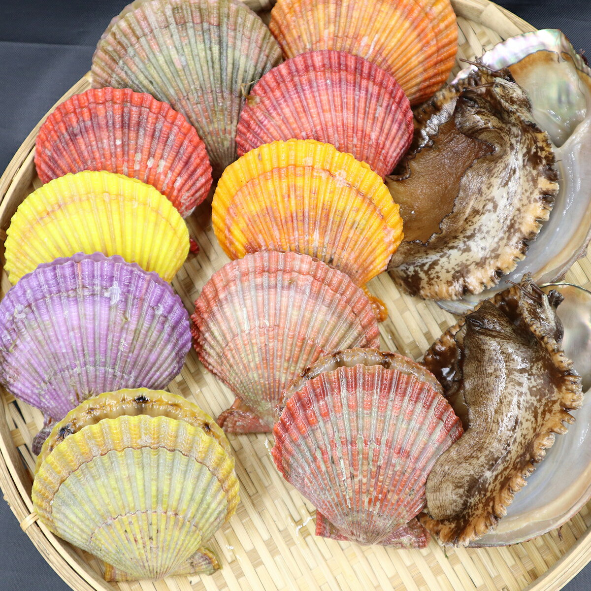 【ふるさと納税】天然 活 アワビ ヒオウギ貝 貝 セット