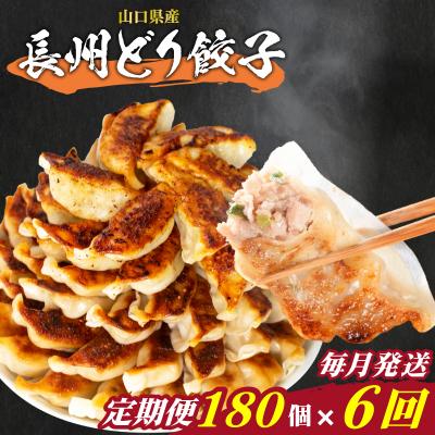 ふるさと納税 下関市 訳あり 長州どり餃子 6回 毎月 定期便 180個 12個×15パック 冷凍 小分け IB044