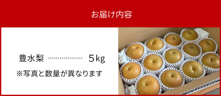 完熟採り　もりやま梨（豊水）５キロ【先行予約】