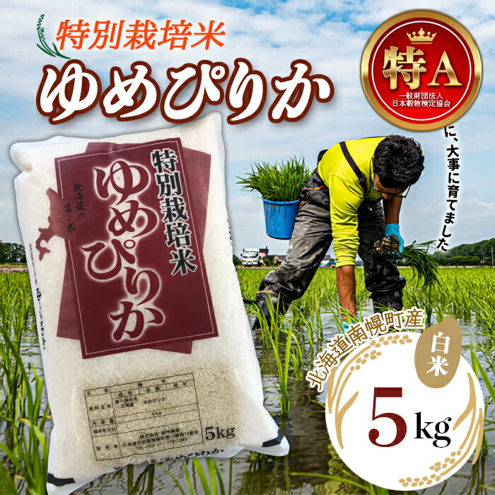 【ふるさと納税】特別栽培米 令和7年産 ゆめぴりか（白米）5kg 2024年10月発送開始 NP1-242