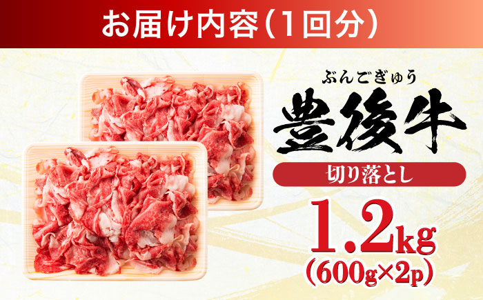 【全3回定期便】【大容量パック！】 おおいた豊後牛 牛肉 切り落とし 1.2kg (600g×2) 日田市 / 株式会社MEAT PLUS　肉 牛肉 和牛 [AREI047]