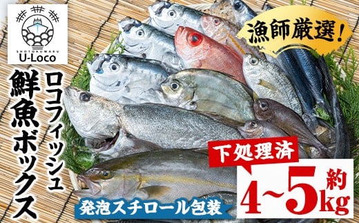 
            B78001 漁師厳選！ロコフィッシュ(地魚) 下処理済 鮮魚 ボックス(約4～5kg)【発泡スチロール包装】 地魚 魚 お魚 冷蔵 生もの 加工品 未利用魚 低利用魚 焼き魚 焼魚 刺し身 刺身 煮魚 届くまでのお楽しみ 鮮魚セット 鮮魚ボックス 鮮魚BOX 【昌徳丸】
          