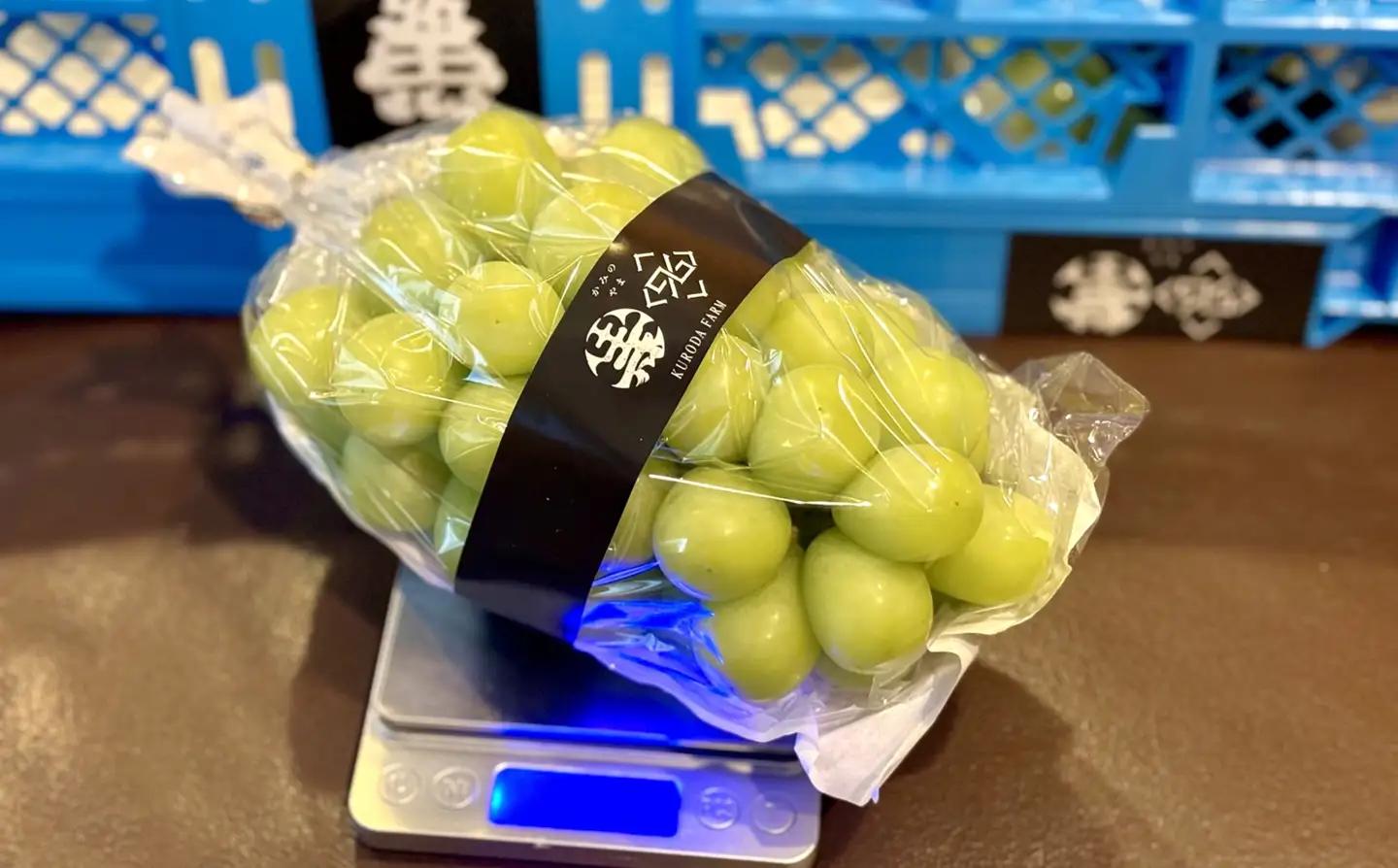 シャインマスカット　大粒　１房　６００ｇ以上　特秀品　0102-2601
