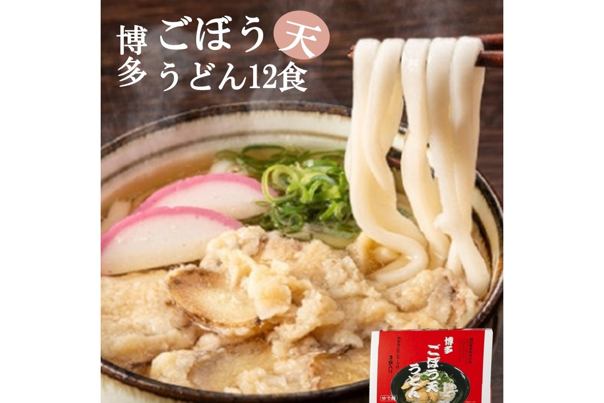 【A5-431】博多ごぼう天うどん　12食セット