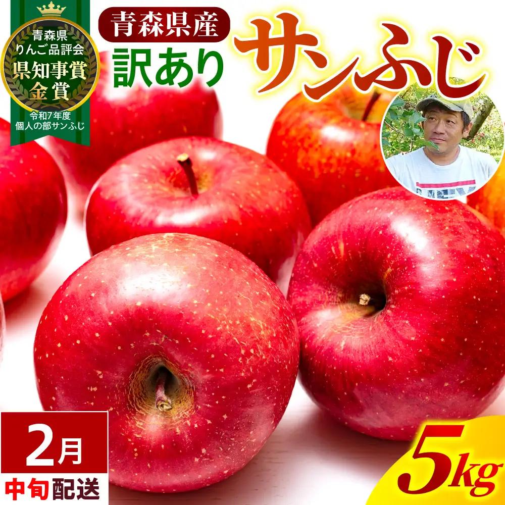 【2027年2月中旬発送】【訳あり】 りんご 約5kg 青森県産 サンふじ 家庭用 りんご