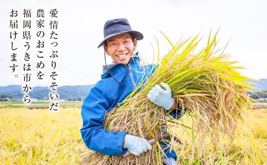 【6か月定期便】 白米 野上米 10㎏×6回 計60kg