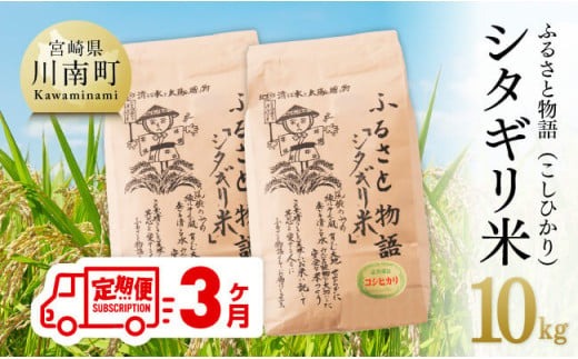 【3ヶ月定期便】【令和7年産】宮崎県産こしひかり「シタギリ米」10kg（5kg×2） 【 お米 新米 定期便 全3回 】[C04202t3]