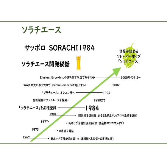 ビール SORACHI1984 350ml × 24缶 上富良野町発祥！ 伝説のホップ ソラチエース ソラチ sorachi ソラチ1984 サッポロビール サッポロ 地ビール お酒 酒 アルコール 