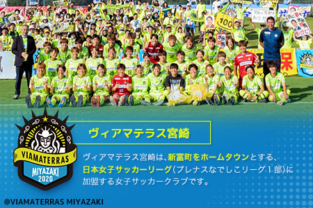 サッカー チケット ヴィアマテラス宮崎 ホーム シーズンパス スポーツ E265