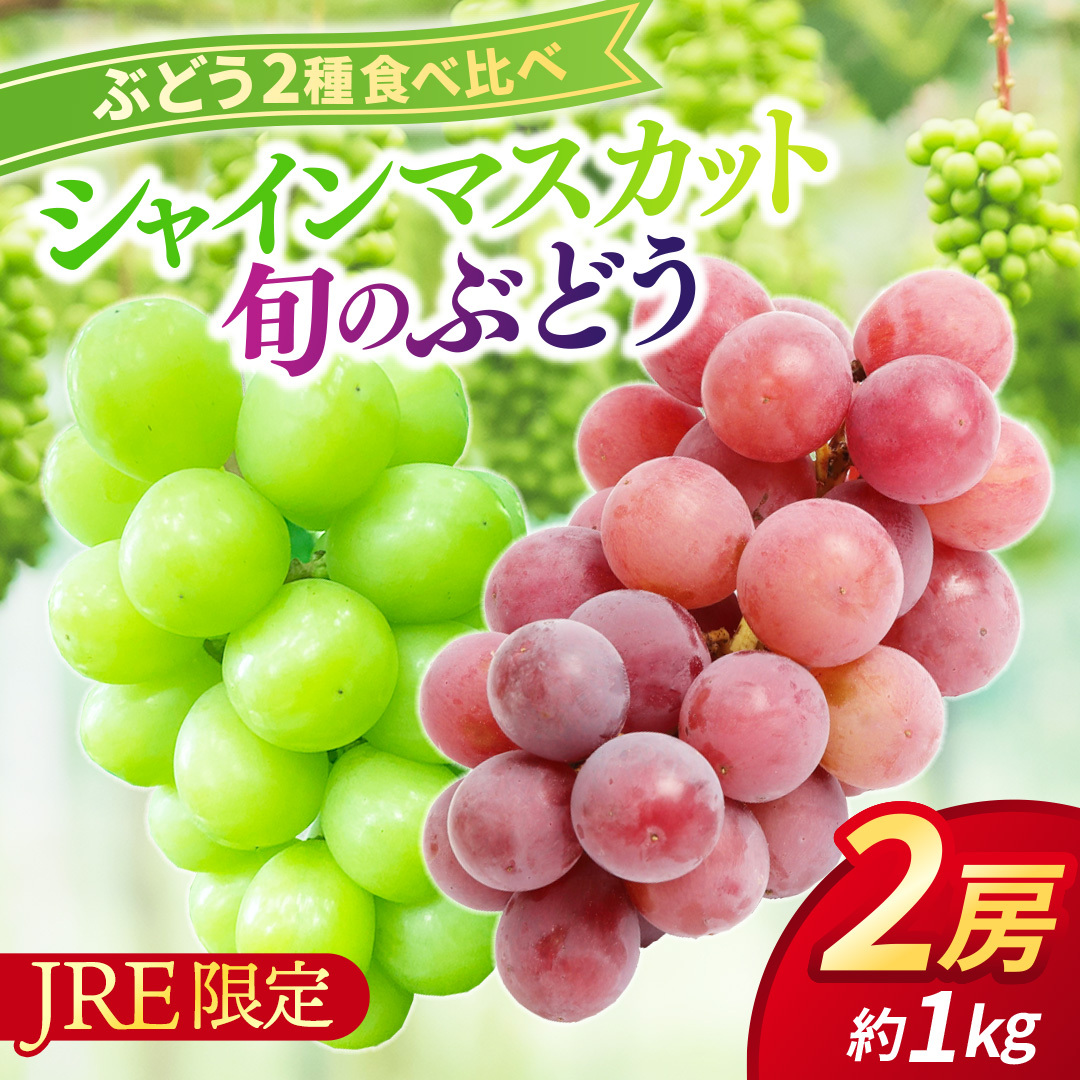 【JRE限定】ぶどう食べ比べ 2房（約1kg）旬のぶどう＆シャインマスカット 【2026年9月下旬発送開始】 葡萄 ブドウ セット アソート シャインマスカット 安芸クイーン クイーンニーナ ロザリオロッソ ピオーネ 高妻 藤稔 採れたて 大粒 生産農家直送 農家直送 数量限定 果物 フルーツ 岩手県 (DH005)