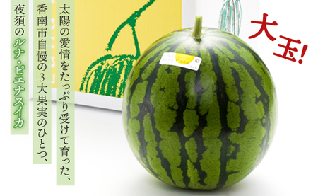 スイカ【２回定期便】ルナ・ピエナスイカ(大玉) 1玉 Wyu-0041