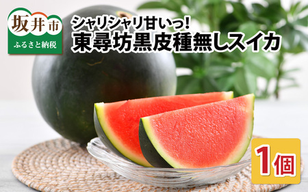 【先行予約】 種なし スイカ 6～10kg × 1玉 大玉サイズ ～シャリシャリ甘い東尋坊黒皮種なしスイカ～ 【2026年7月中旬以降順次発送予定】 【スイカ 西瓜 フルーツ デザート 旬の味覚 果物 国産 産地直送 お祝い お中元 ギフト】 [B-10201]