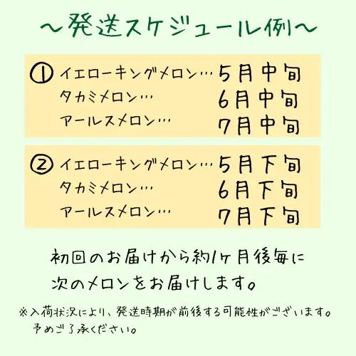 青果市場の野菜ソムリエ厳選 ジューシー メロン 3兄弟 定期便 全3回