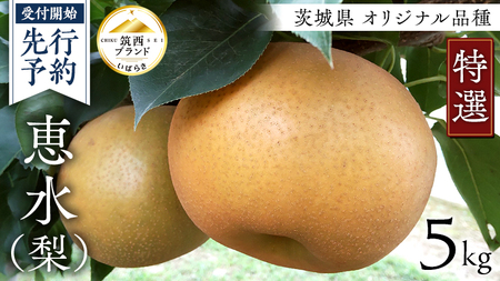 【 JA 北つくば 】 筑西ブランド 認証品 特選!! 恵水 5kg 2026年産 先行予約 梨 [AE025ci]