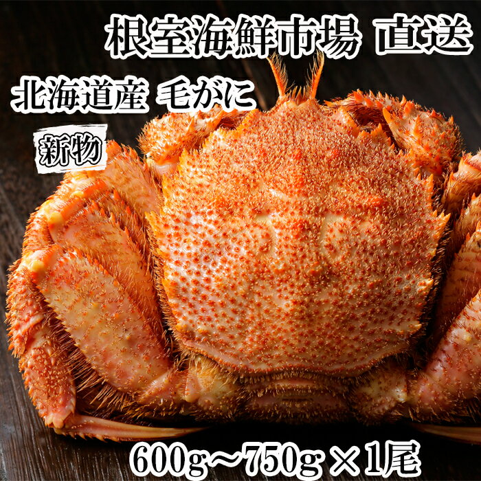 【ふるさと納税】根室海鮮市場＜直送＞ボイル毛がに600～750g×1尾 B-28124