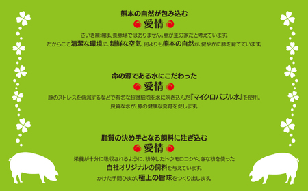 【定期便3回】火の本豚 満喫セット（ロース、切り落とし、ミンチ） 4050g | 熊本県 和水町 くまもと なごみまち 豚肉 肉 ロース 豚ロース 300g 切り落とし ウデモモ 550g ミンチ 5