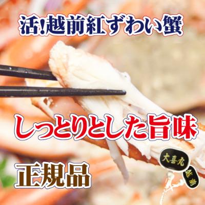 ふるさと納税 越前町 活! 越前 紅ずわいがに × 1杯 旨味満点!! ≪浜茹で≫【6月発送分】 |  | 02