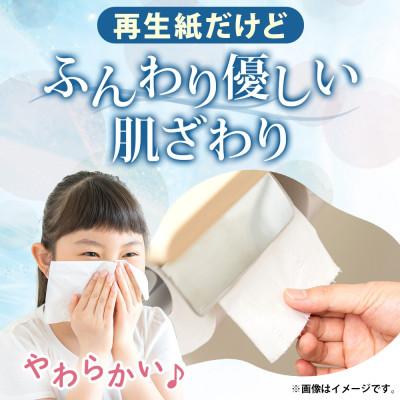 ふるさと納税 倶知安町 北海道 日本ハムファイターズ ボックス ティッシュ 200組 400枚 60箱 北海道 倶知安町 |  | 02