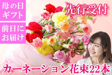 【母の日ギフト】カーネーション 花束 生花 切花 22本 母の日 前日にお届け 産地直送 高級【西九州させぼ地域商社 & 黒髪カーネーション】母の日ギフト 母の日プレゼント 母の日 カーネーション 母の日 ｶｰﾈｰｼｮﾝ ｶｰﾈｰｼｮﾝ ｶｰﾈｰｼｮﾝ ｶｰﾈｰｼｮﾝ
