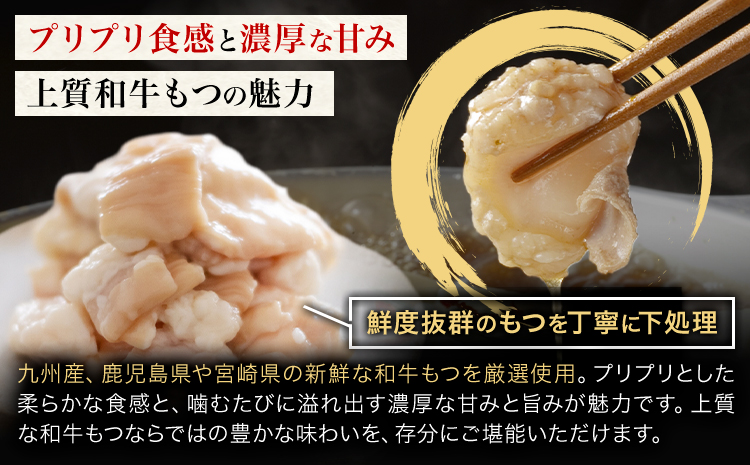 もつ鍋 醤油味 セット 薬味付き ちゃんぽん麵 博多笑樂 2～3人前 地域商社ふるさぽ《90日以内に出荷予定(土日祝除く)》福岡県 鞍手郡 小竹町 もつ 鍋 牛モツ 醤油---sc_ffshktsym