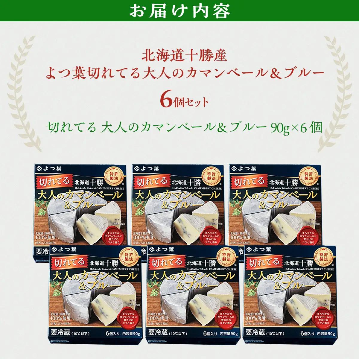 北海道十勝産 よつ葉切れてる大人のカマンベール＆ブルー6個 【 ギフト セット 北海道産 十勝  送料無料 】 SKA034