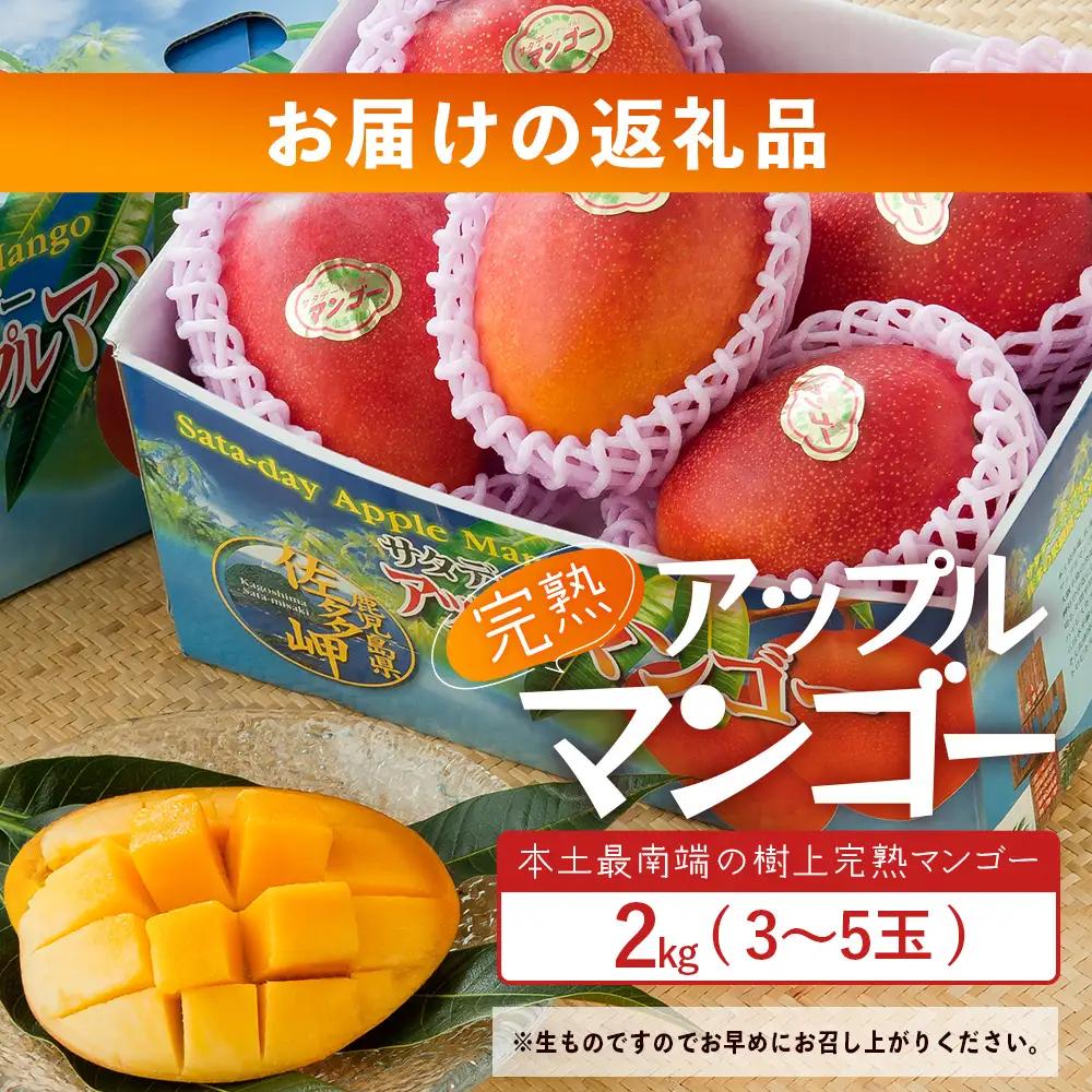 ≪先行予約・数量限定≫ ☆本土最南端☆佐多の果樹園で育てた 完熟アップルマンゴー 約2kg (3～5玉) 【2026年7月上旬以降順次発送】 ST-408 ｜鹿児島県 南大隅 産地直送 旬 マンゴー 