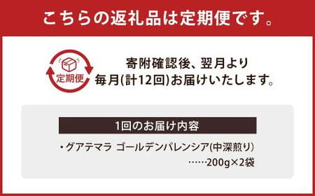 【豆】 【12か月定期便】 グアテマラ ゴールデンパレンシア リオ ウォッシュド （中深煎り） 400g コーヒー 珈琲 豆 まめ マメ