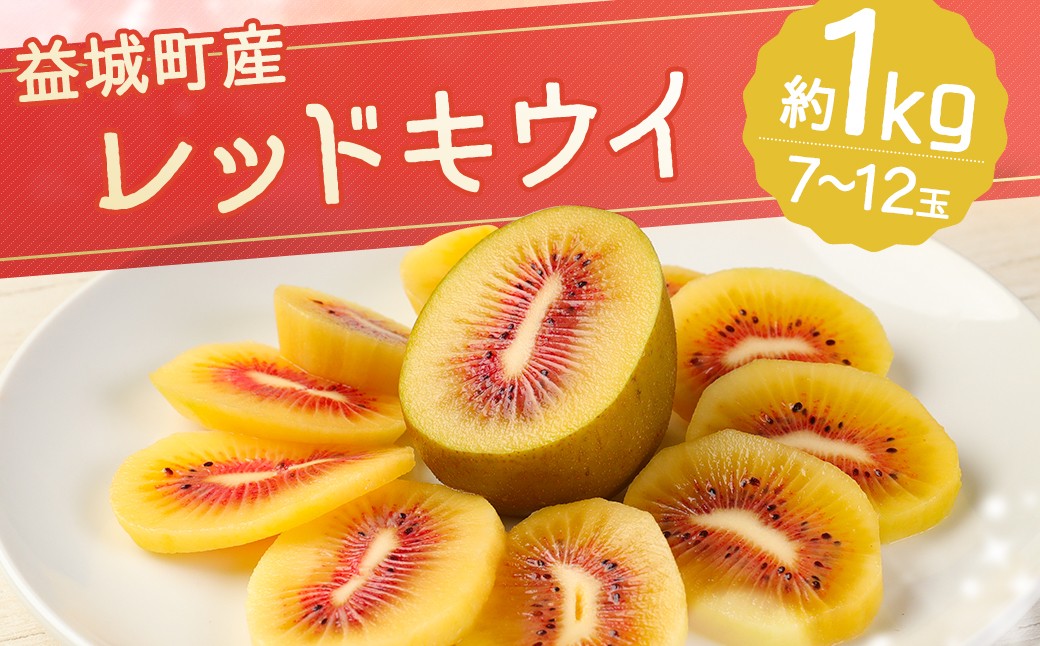 益城町産 レッドキウイ 約1kg（7～12玉）【2026年10月下旬～2027年2月上旬順次発送予定】
