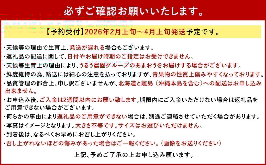 【アフター保証】うるう農園 あまおう DX等級 2パック （約570g）【2026年2月上旬～2026年4月上旬発送予定】 いちご イチゴ 苺 フルーツ 果物