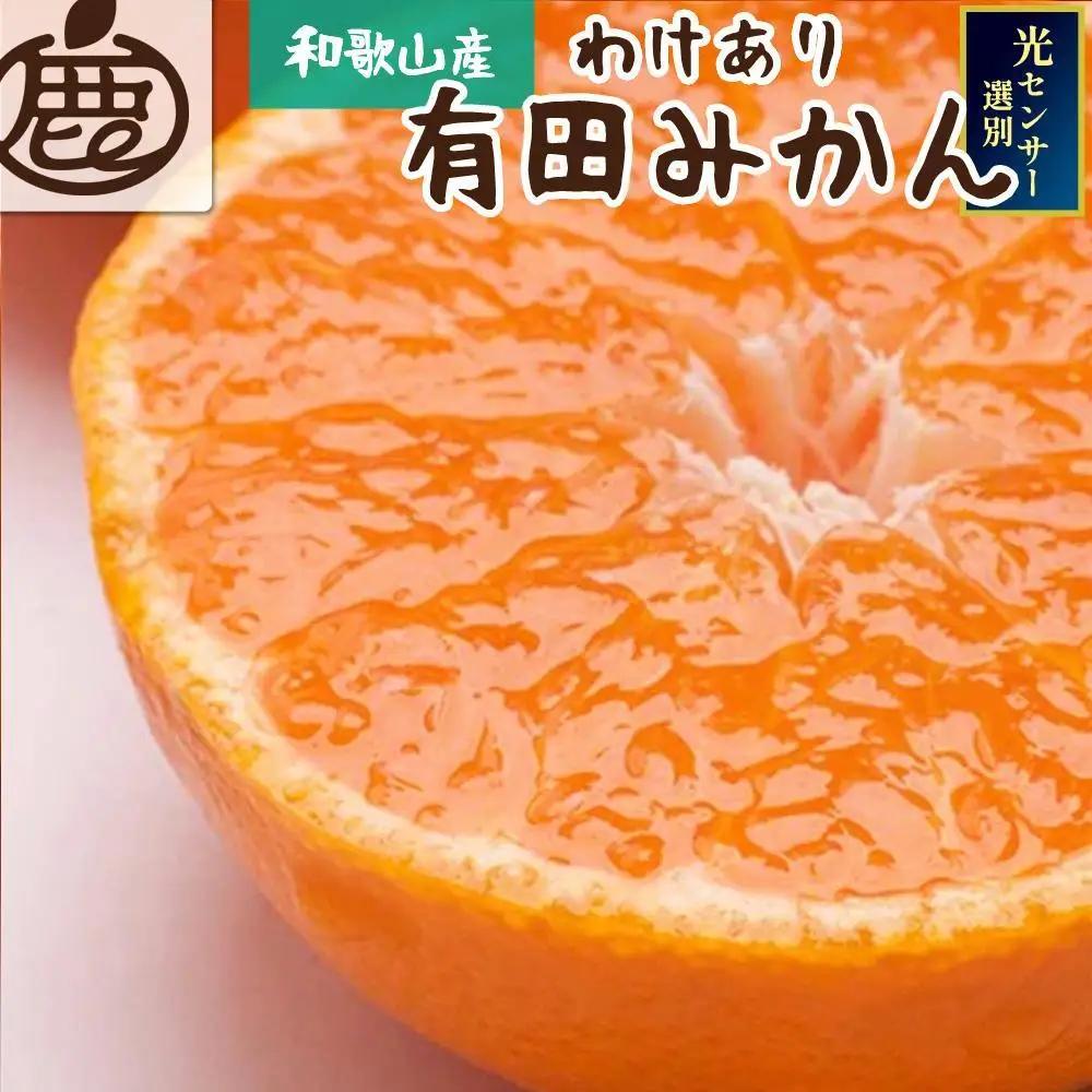 ［先行予約］家庭用 熟成有田みかん 10kg+250g（傷み補償分）