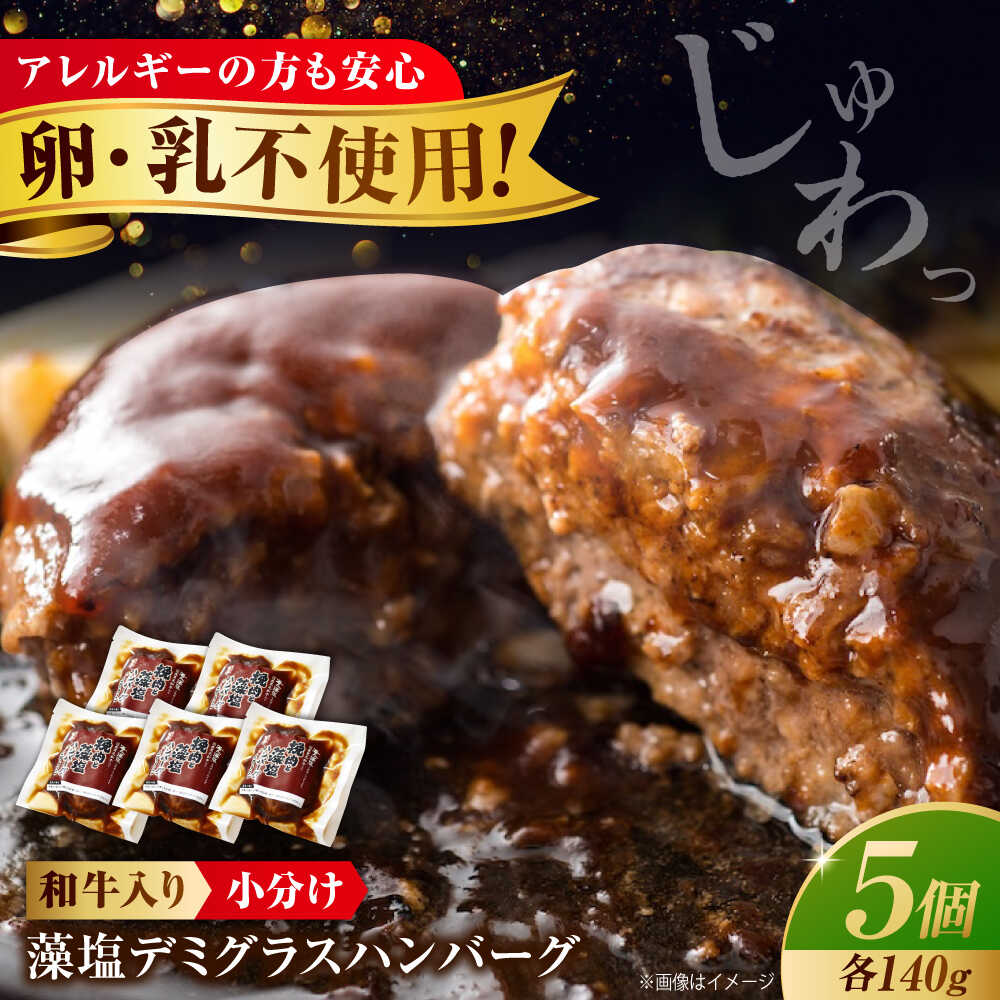 【ふるさと納税】【お中元対象】冷凍 和牛入り藻塩ハンバーグ(デミグラス) 5個セット 福山市/池口精肉店[BAFK003] 国産牛肉 国産 牛肉 和牛 国産豚肉 豚肉 ハンバーグ ふるさと納税 ギフト プレゼント 贈答 人気 デミグラス おかず 冷凍 お惣菜