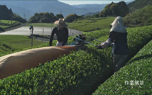 画像はイメージです。