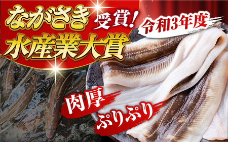 対馬産 天然あなごの開き500g×2《対馬市》【すし処慎一】国産 肉厚 穴子 アナゴ 新鮮 冷凍 白焼き 天ぷら 揚げ物 贈り物[WCO002]