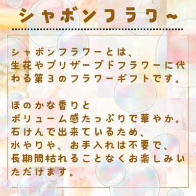 ふるさと納税 桜川市 シャボンフラワー L フラワーケーキ |  | 02