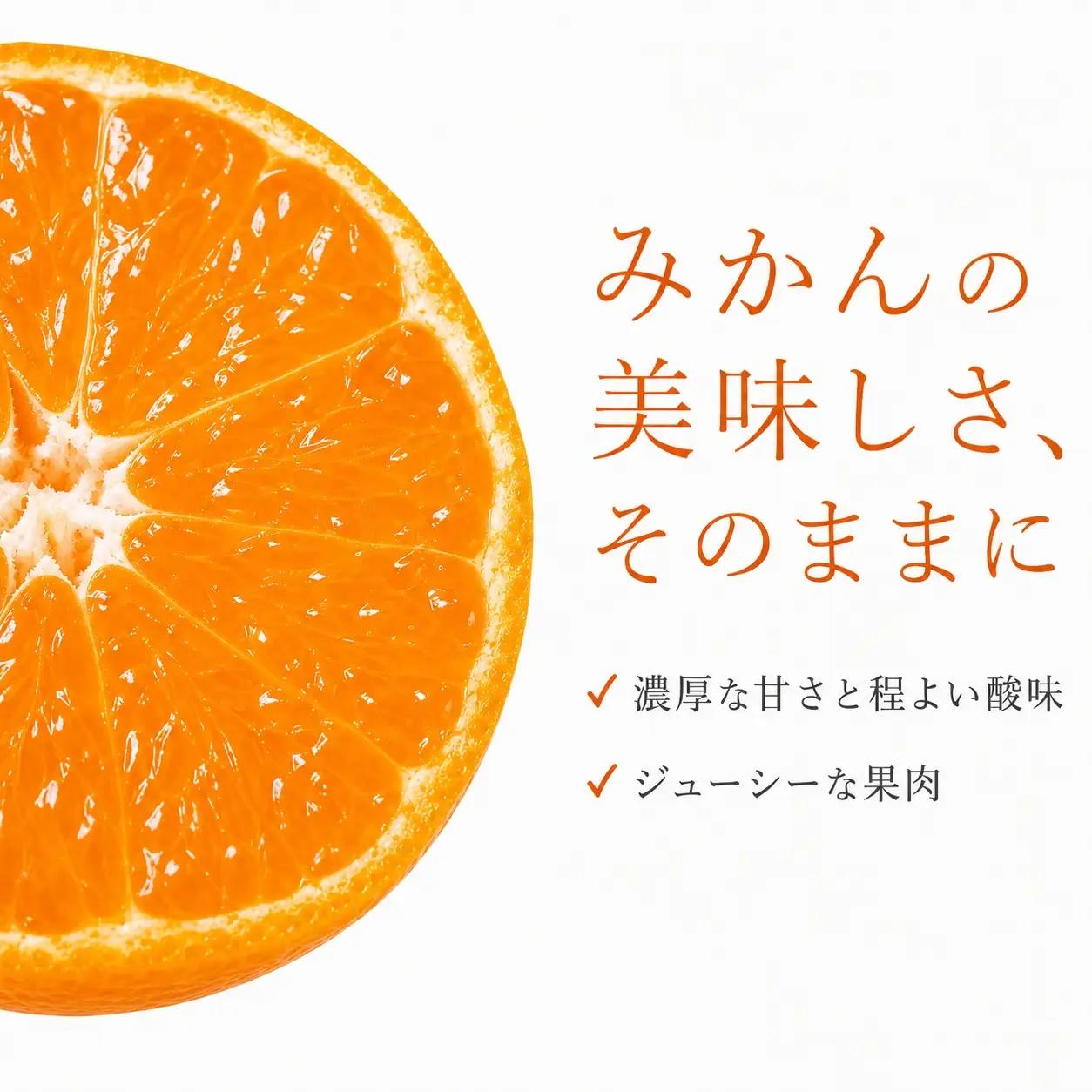 【訳あり・ご家庭用】和歌山有田みかん10kg 2S〜2L サイズ混合【2026年11月下旬～2026年12月下旬頃に順次発送予定】【Z-uot871】