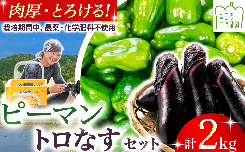 
                  【予約受付】【期間限定】 ピーマン・トロなすセット 2kg（各1kg） 栽培期間中農薬・化学肥料不使用 ／Fms-17 農産物 新鮮 ぴーまん ピーマン 肉厚ピーマン ナス なす 茄子 焼きナス 野菜 大量 農薬不使用 化学肥料不使用
                