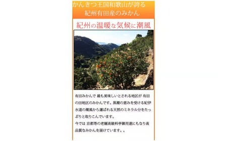 【先行予約】高級ブランド田村みかん １０kg◇｜ 蜜柑 柑橘 果物 フルーツ 糖度 甘い 濃厚 コク ジューシー 先行予約 みかん 国産 産地直送 人気 美浜町