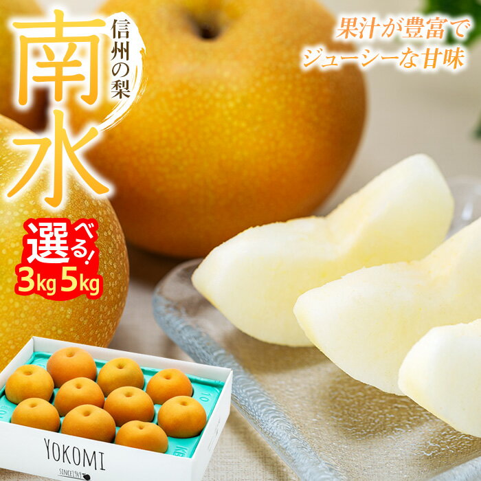 【ふるさと納税】 梨 南水 3kg 5kg 2025年 令和7年発送分 信州の梨 フルーツ 果物 デザート なし ナシ なんすい ナンスイ 産地直送 長野県 信州産　 箕輪町 　お届け：2025年9月中旬～10月ごろ
