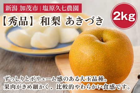 【2025年先行予約】新潟県産 和梨 あきづき 2kg 【秀品】《9月中旬から順次出荷》 なし 果物 フルーツ デザート ジューシー シャキシャキ 加茂市 塩原久七農園