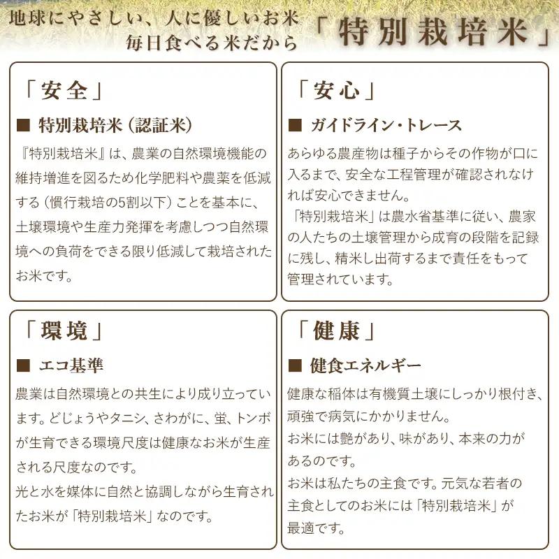 【令和8年産】特別栽培米 雪若丸 5kg 山形県鶴岡市産 K-845 米の里