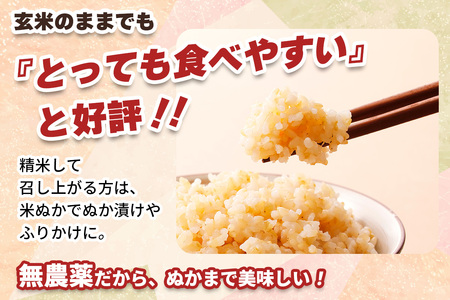 [定期便／3回] JAS有機認定 こしひかり 合計9kg (3kg×3回) [日光ダイヤ舞／玄米3kg] 令和7年10月上旬より順次発送｜2025年度米 令和7年度米 オーガニック米 JAS有機認定 