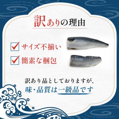 ふるさと納税 石巻市 訳あり 無塩サバフィレ 1.0kg (10枚前後) 冷凍 さば 鯖 不揃い 魚 お魚 焼き魚 |  | 02