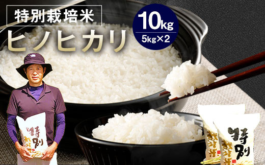 
【令和6年産】 相良村産 特別栽培米 ヒノヒカリ 10kg 【2024年10月下旬～2025年10月下旬発送予定】 お米 白米 精米
